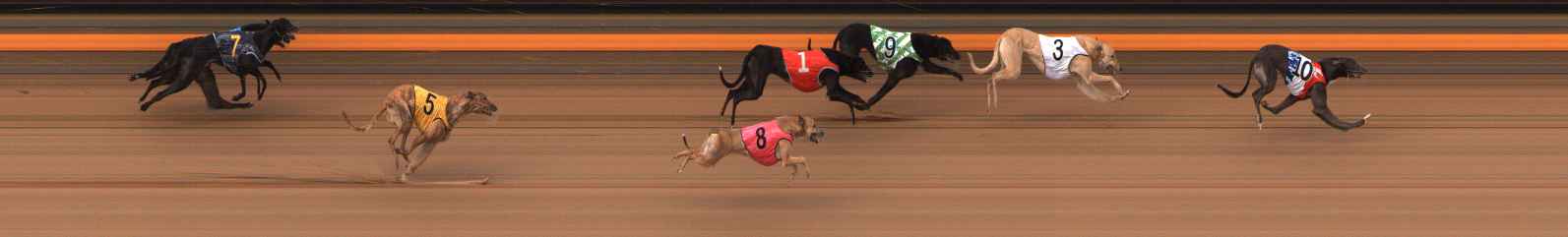 Photo finish for Ballarat Race 11