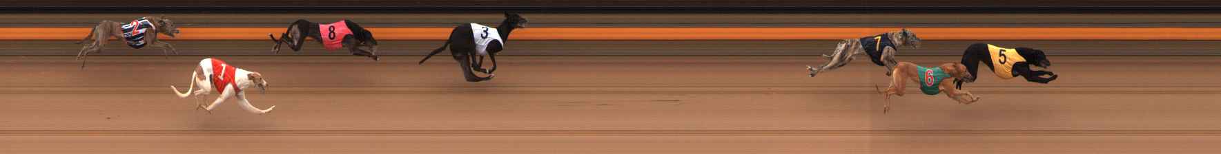 Photo finish for Ballarat Race 12