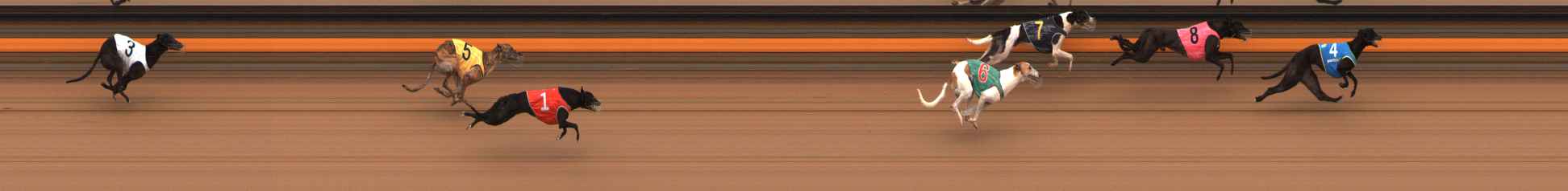 Photo finish for Ballarat Race 14