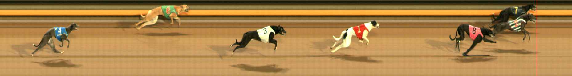 Photo finish for Ballarat Race 1