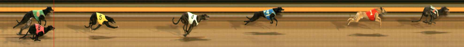 Photo finish for Ballarat Race 2