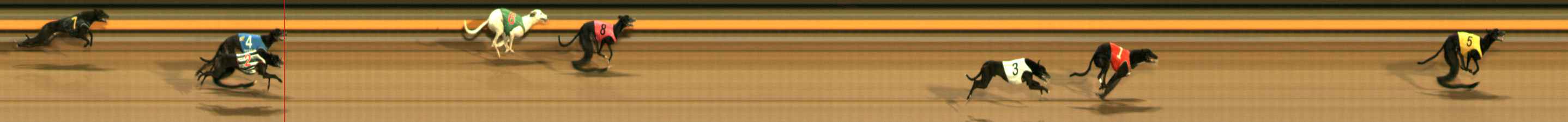 Photo finish for Ballarat Race 7