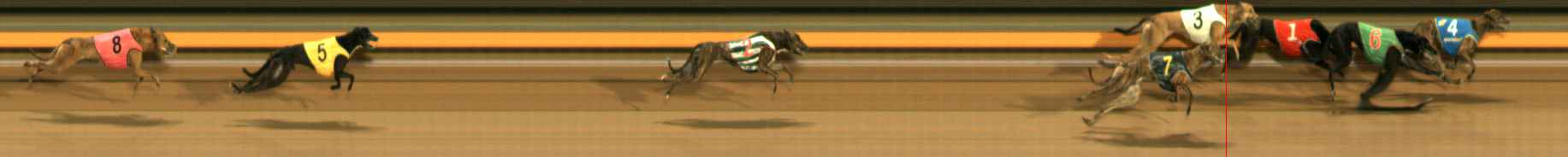 Photo finish for Ballarat Race 9