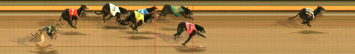Photo finish for Ballarat Race 14