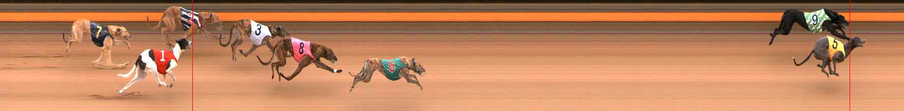 Photo finish for Ballarat Race 1