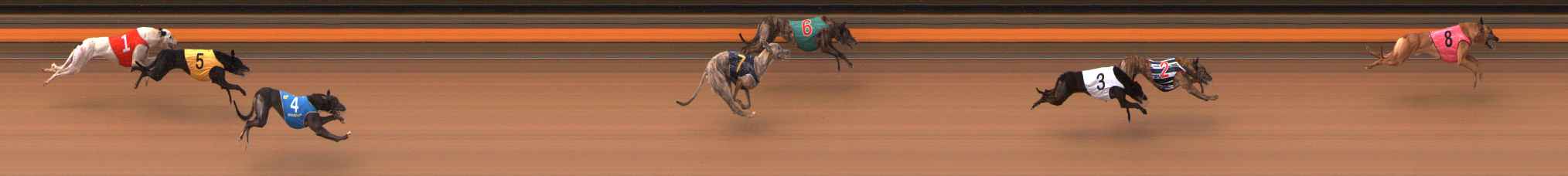 Photo finish for Ballarat Race 3