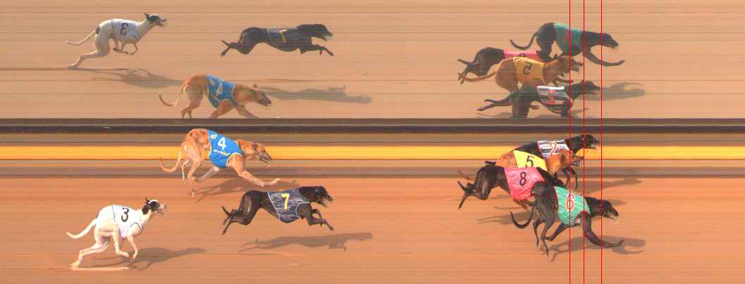 Photo finish for Ballarat Race 7