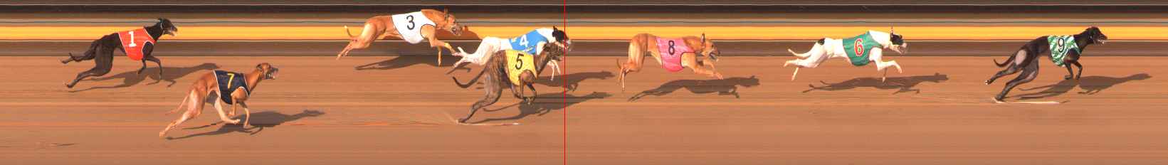 Photo finish for Ballarat Race 8