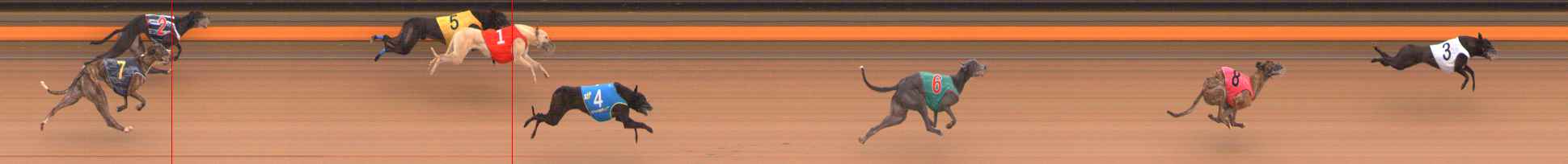 Photo finish for Ballarat Race 10
