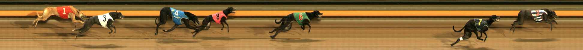 Photo finish for Ballarat Race 2