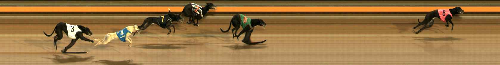 Photo finish for Ballarat Race 3