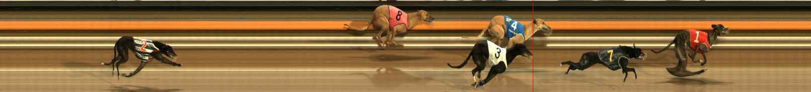 Photo finish for Ballarat Race 5