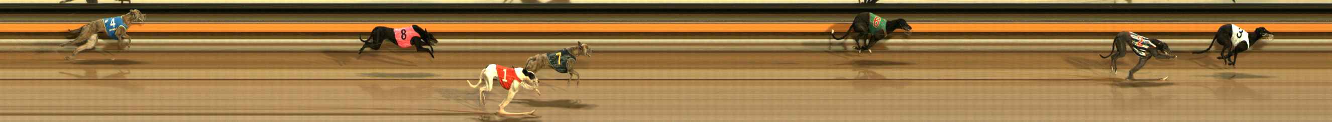 Photo finish for Ballarat Race 6