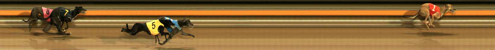 Photo finish for Ballarat Race 9