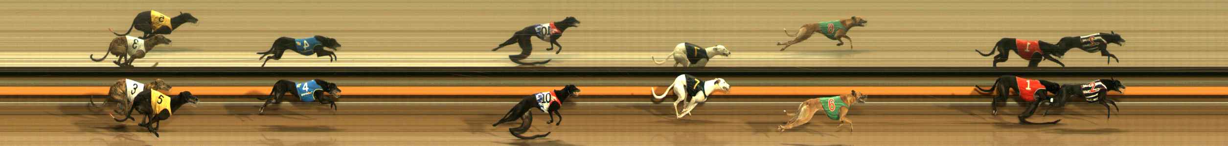 Photo finish for Ballarat Race 12