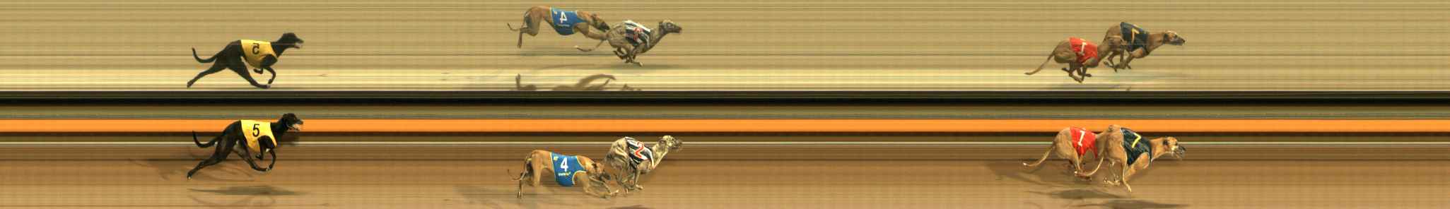 Photo finish for Ballarat Race 13