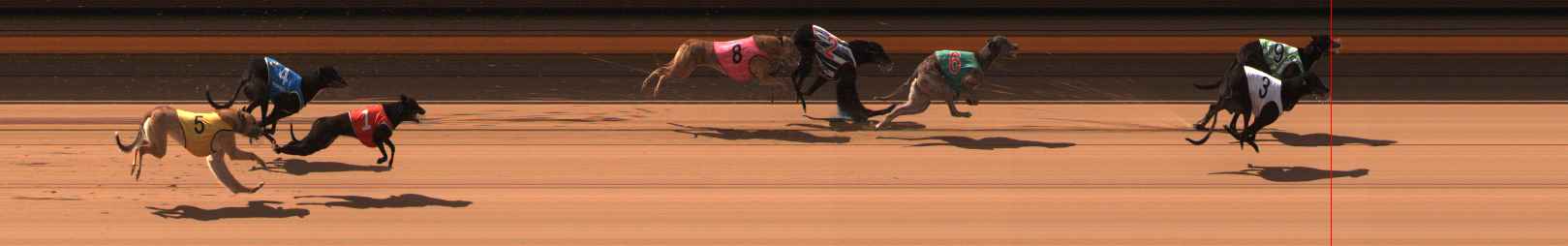 Photo finish for Ballarat Race 1