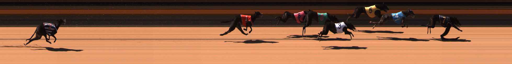 Photo finish for Ballarat Race 2