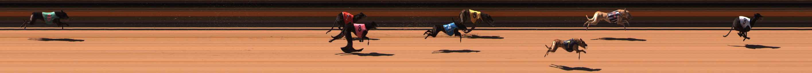 Photo finish for Ballarat Race 3