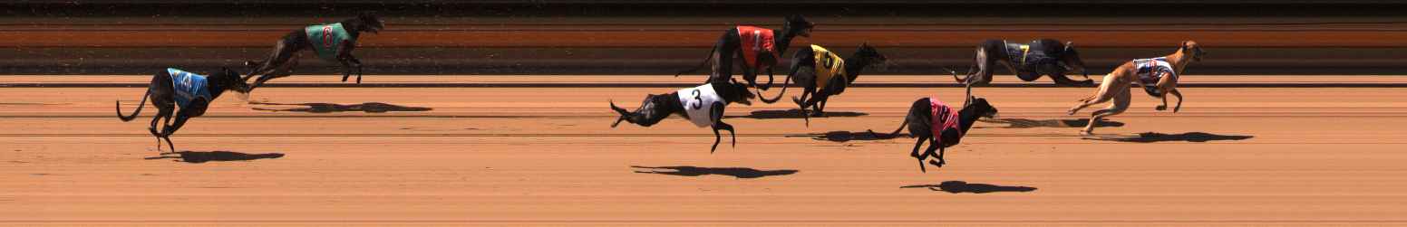 Photo finish for Ballarat Race 4
