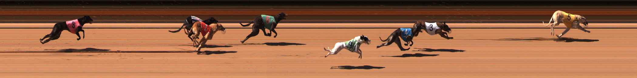 Photo finish for Ballarat Race 5