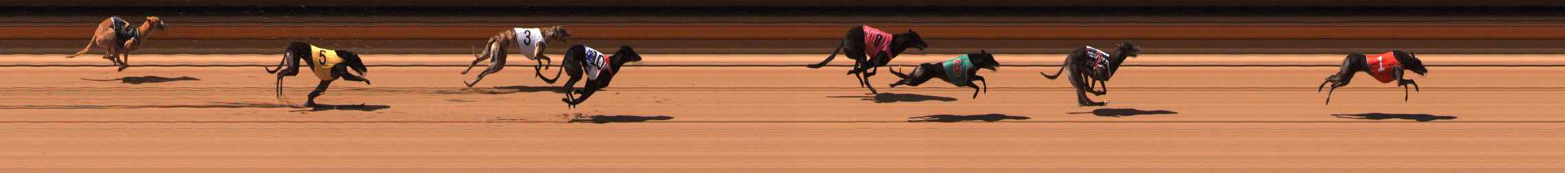 Photo finish for Ballarat Race 6