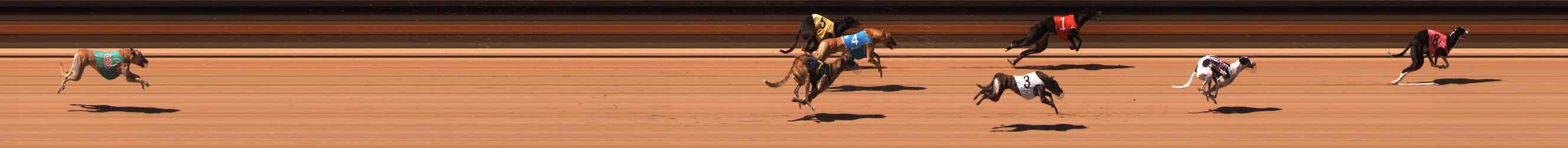 Photo finish for Ballarat Race 7