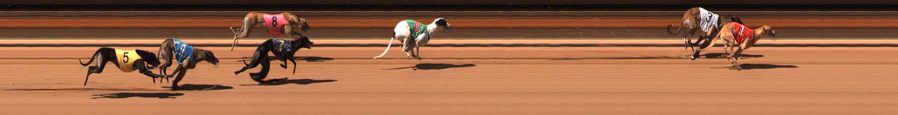 Photo finish for Ballarat Race 8