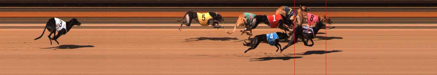 Photo finish for Ballarat Race 9