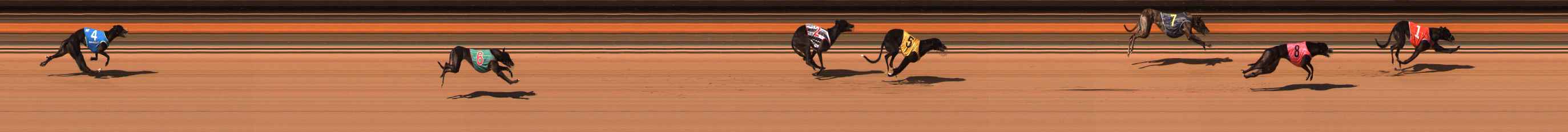 Photo finish for Ballarat Race 10