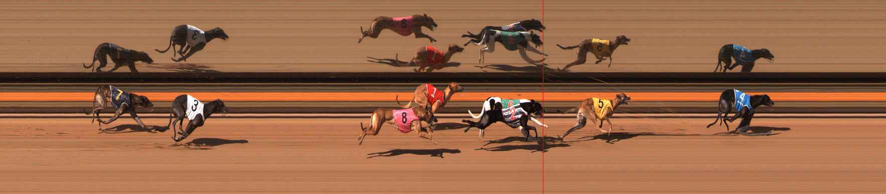 Photo finish for Ballarat Race 11