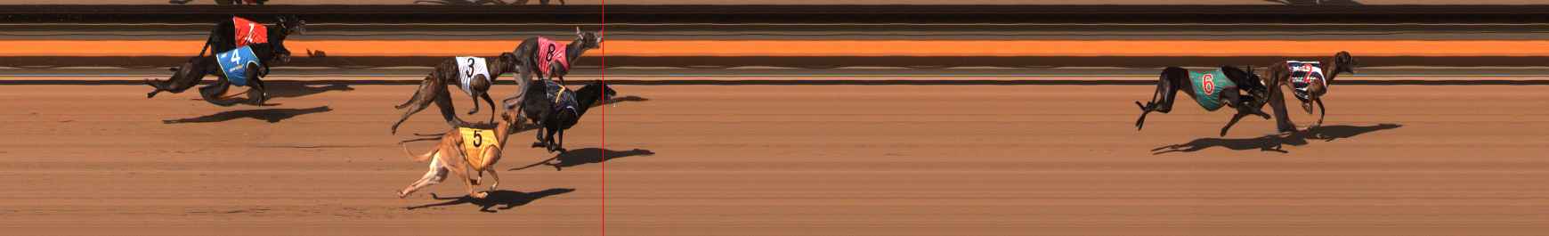 Photo finish for Ballarat Race 12