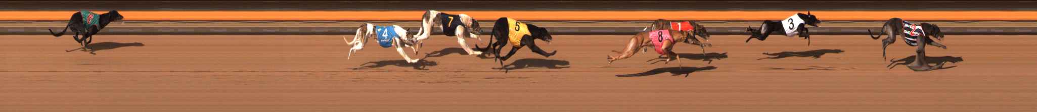 Photo finish for Ballarat Race 13