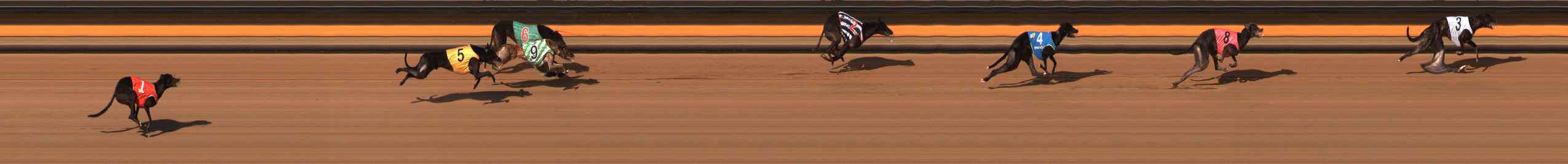 Photo finish for Ballarat Race 14