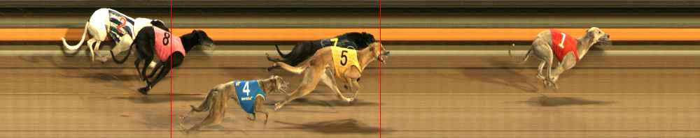 Photo finish for Ballarat Race 6