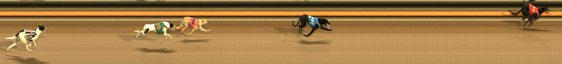 Photo finish for Ballarat Race 10