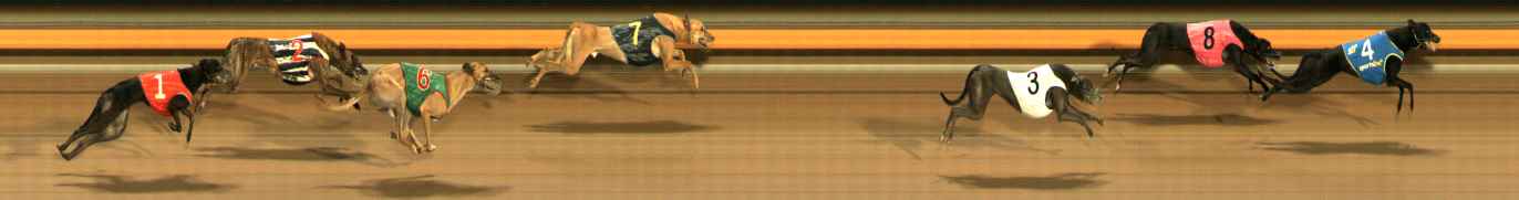 Photo finish for Ballarat Race 11