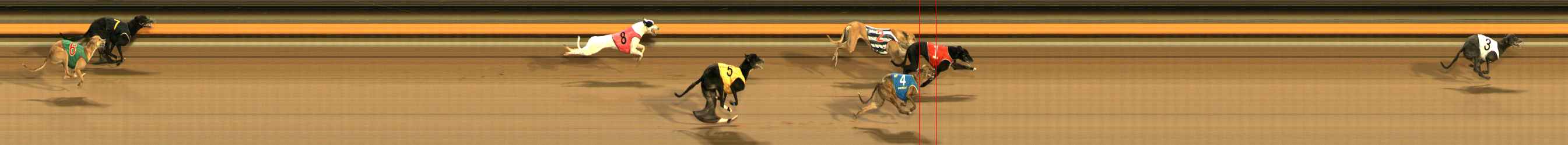 Photo finish for Ballarat Race 12