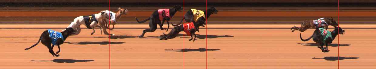 Photo finish for Ballarat Race 3