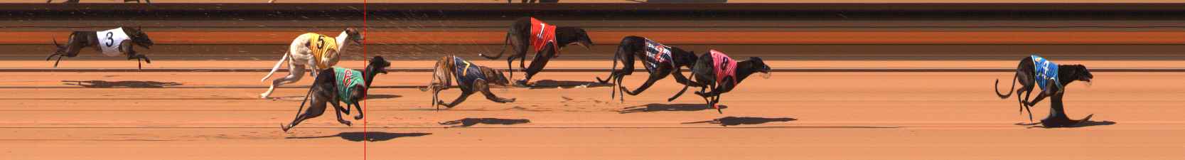Photo finish for Ballarat Race 4