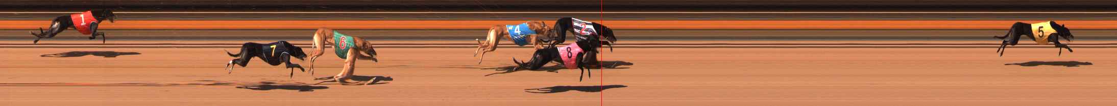 Photo finish for Ballarat Race 6