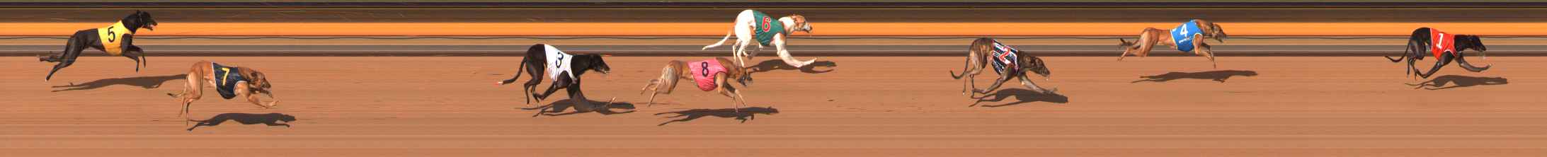 Photo finish for Ballarat Race 10