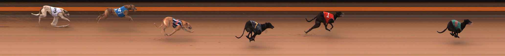 Photo finish for Ballarat Race 1