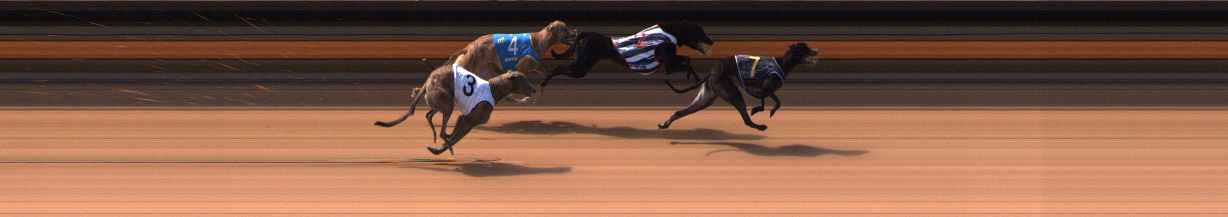 Photo finish for Ballarat Race 2