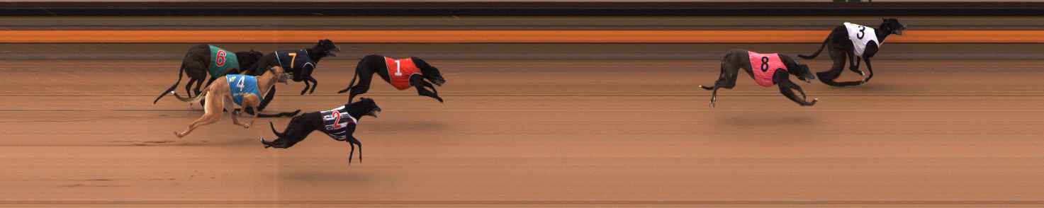 Photo finish for Ballarat Race 3