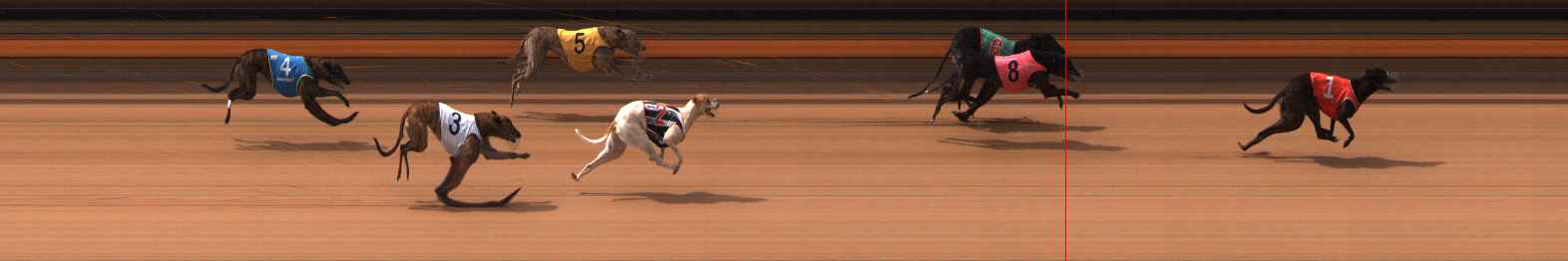 Photo finish for Ballarat Race 4