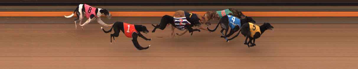 Photo finish for Ballarat Race 5