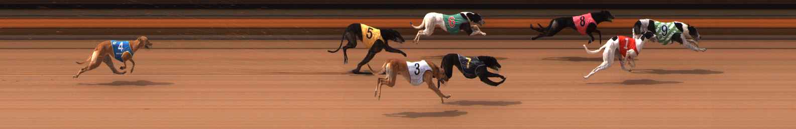Photo finish for Ballarat Race 6