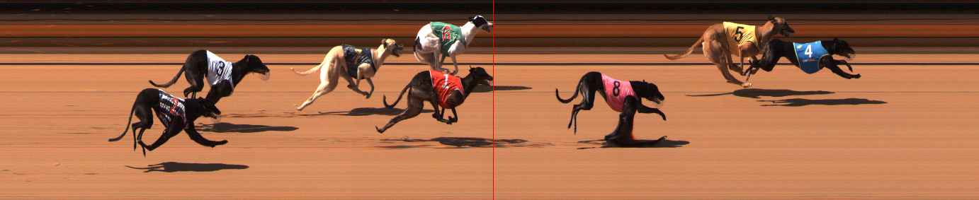 Photo finish for Ballarat Race 8