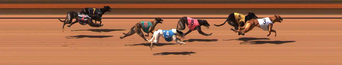 Photo finish for Ballarat Race 9